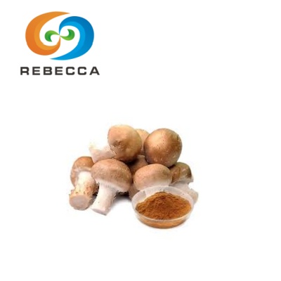 Agaricus Blazei Mushroom Extract